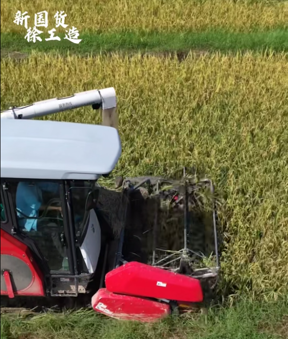 【稻花香里說豐年，聽取蛙聲一片】